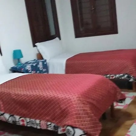 Venice Guesthouse *